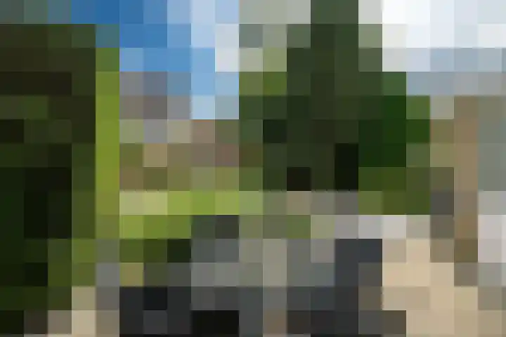 Pompeblêdstrjitte 7 Stiens foto 3