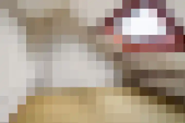 Pompeblêdstrjitte 7 Stiens thumbnail 33