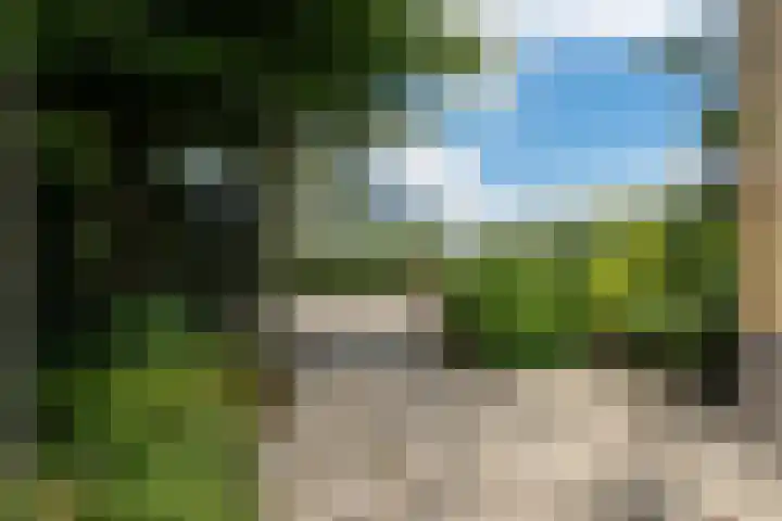 Pompeblêdstrjitte 7 Stiens thumbnail 36