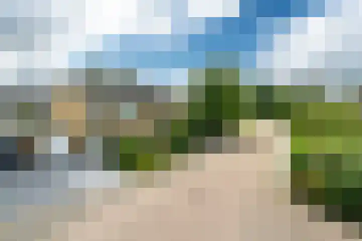 Pompeblêdstrjitte 7 Stiens thumbnail 38
