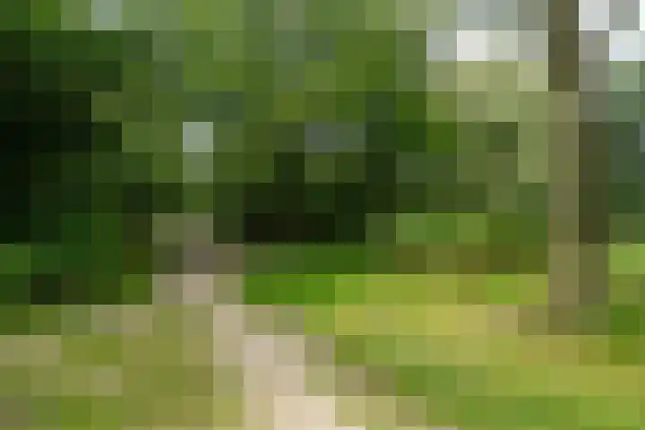 Pompeblêdstrjitte 7 Stiens thumbnail 40