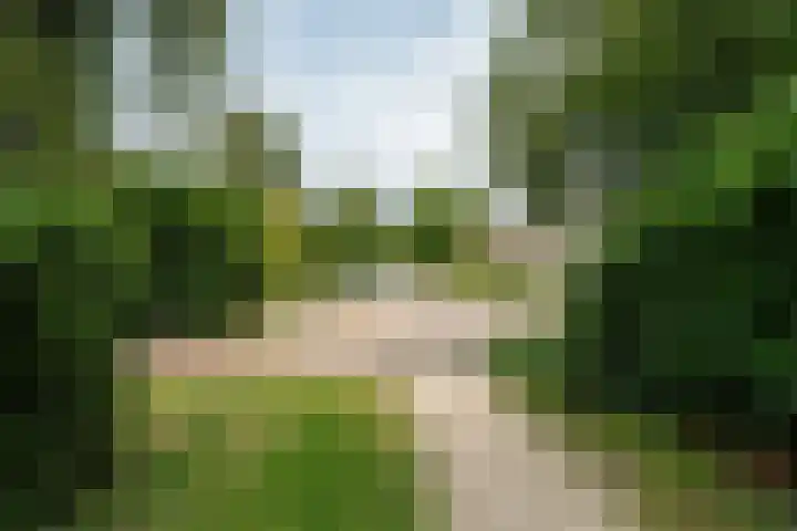 Pompeblêdstrjitte 7 Stiens thumbnail 41