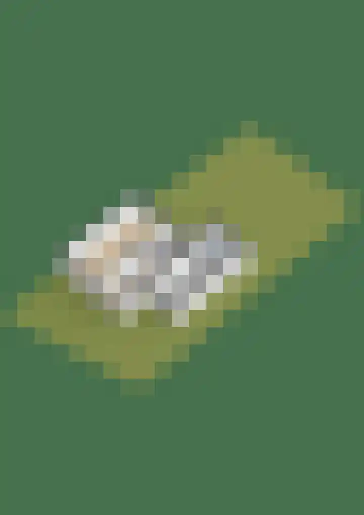 Pompeblêdstrjitte 7 Stiens thumbnail 49