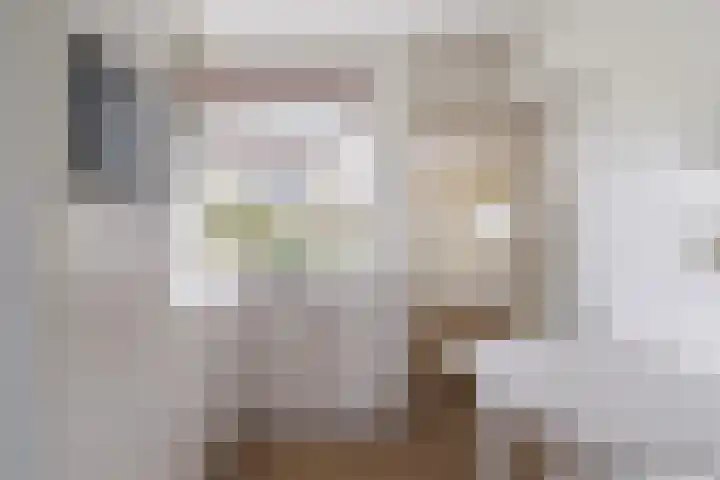 Pompeblêdstrjitte 7 Stiens thumbnail 6