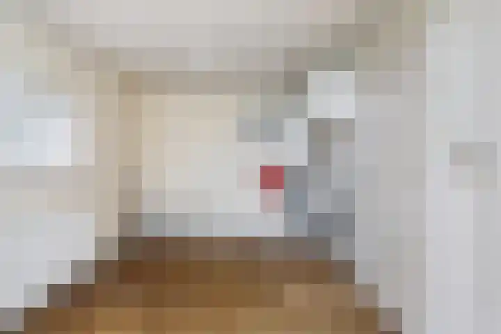 Pompeblêdstrjitte 7 Stiens thumbnail 9