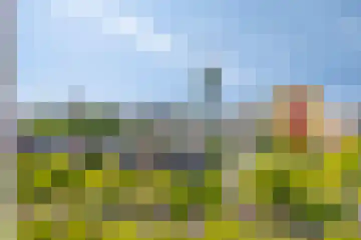 Pompenburg 346 Rotterdam thumbnail 17
