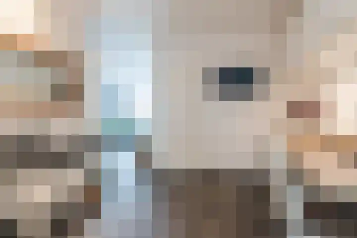 Pompendreef 1 Sterksel thumbnail 10