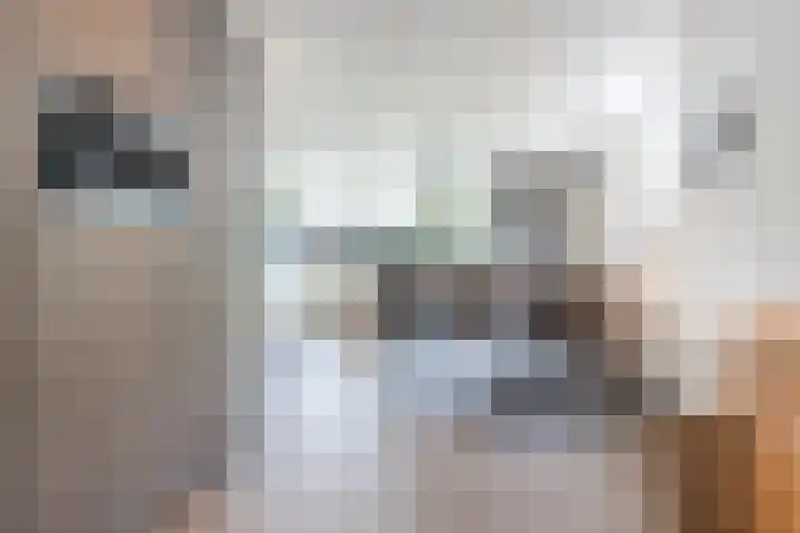 Pompendreef 1 Sterksel thumbnail 14