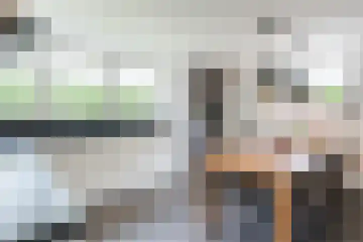Pompendreef 1 Sterksel thumbnail 15