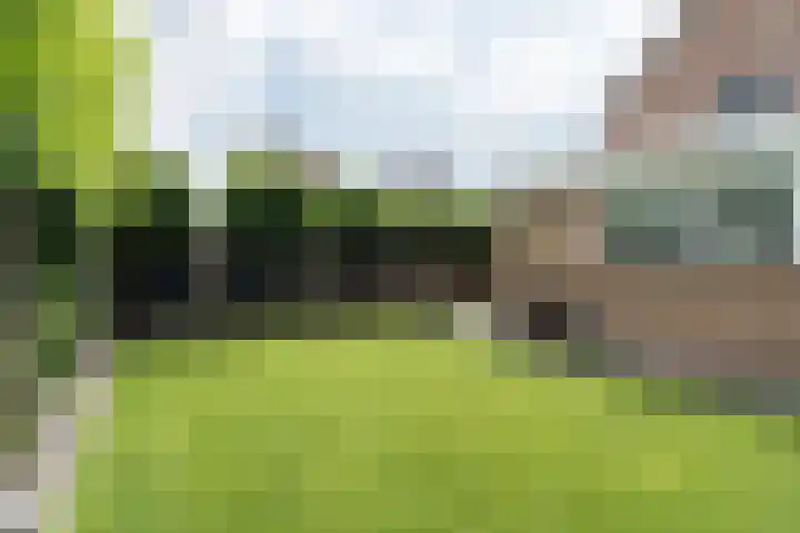 Pompendreef 1 Sterksel thumbnail 34