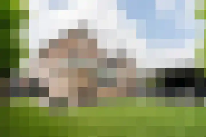 Pompendreef 1 Sterksel thumbnail 35