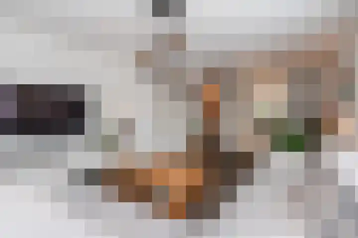Pompendreef 1 Sterksel thumbnail 5