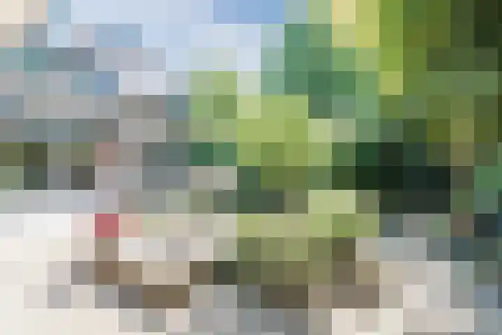 Pomperschans 76 Leende thumbnail 45