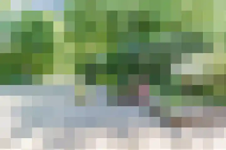 Pomperschans 76 Leende thumbnail 47