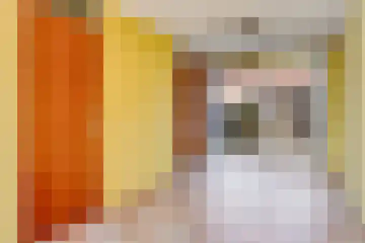Pompmakerstraat 10 Delfgauw thumbnail 10
