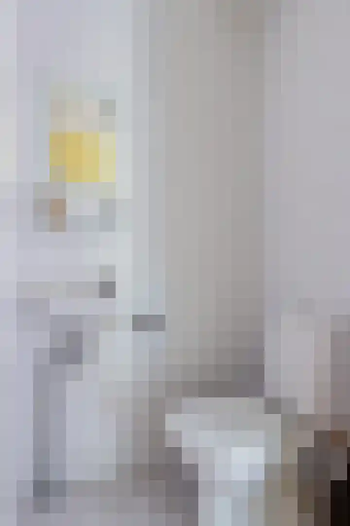 Pompmakerstraat 10 Delfgauw thumbnail 19