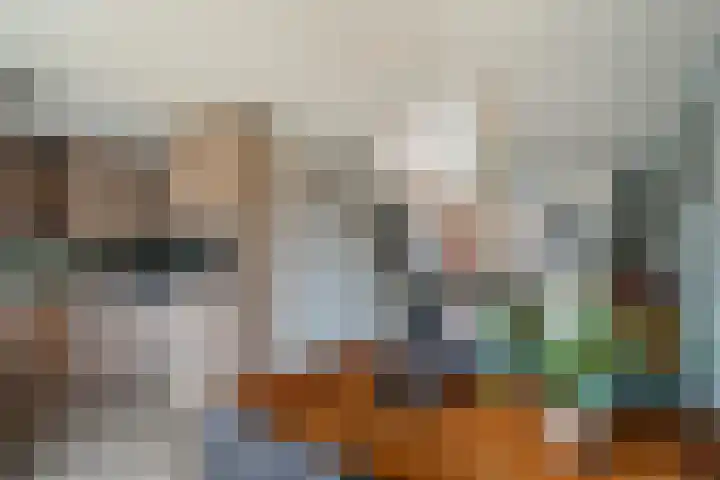 Pompmakerstraat 3 Delfgauw thumbnail 11