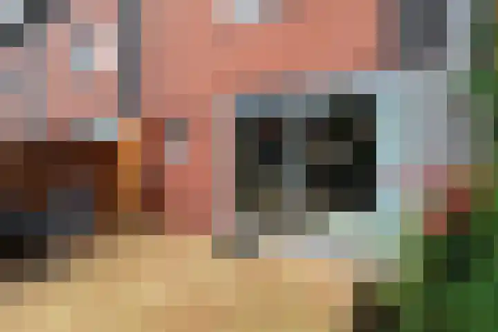 Pompmakerstraat 3 Delfgauw thumbnail 13