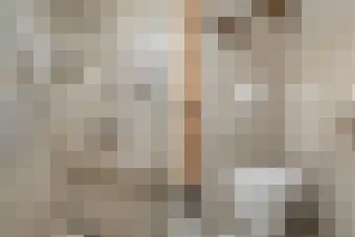 Pompmakerstraat 3 Delfgauw thumbnail 18