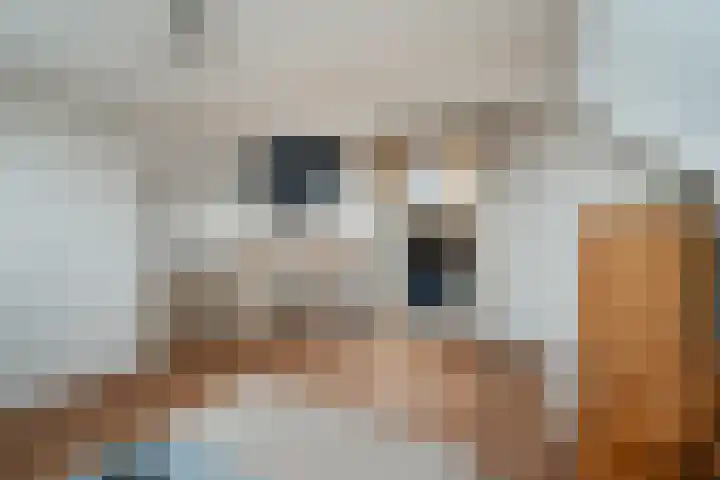 Pompmakerstraat 3 Delfgauw thumbnail 21