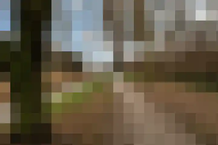 Pompmakerstraat 3 Delfgauw thumbnail 29