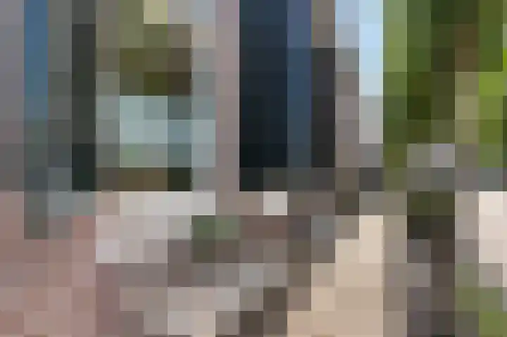 Pompstraat 8 Scharsterbrug thumbnail 7