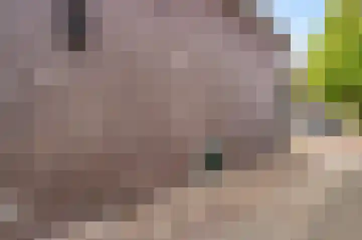 Pompstraat 8 Scharsterbrug thumbnail 8