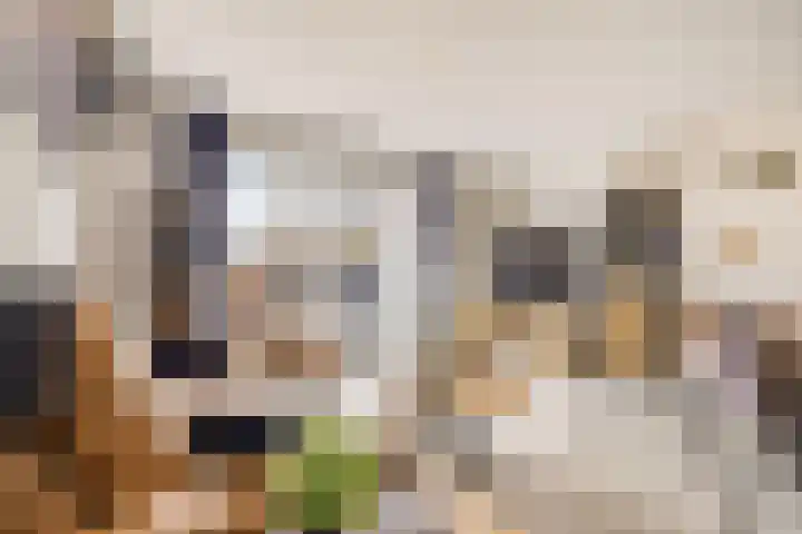 Pompwater 32 Houten thumbnail 10