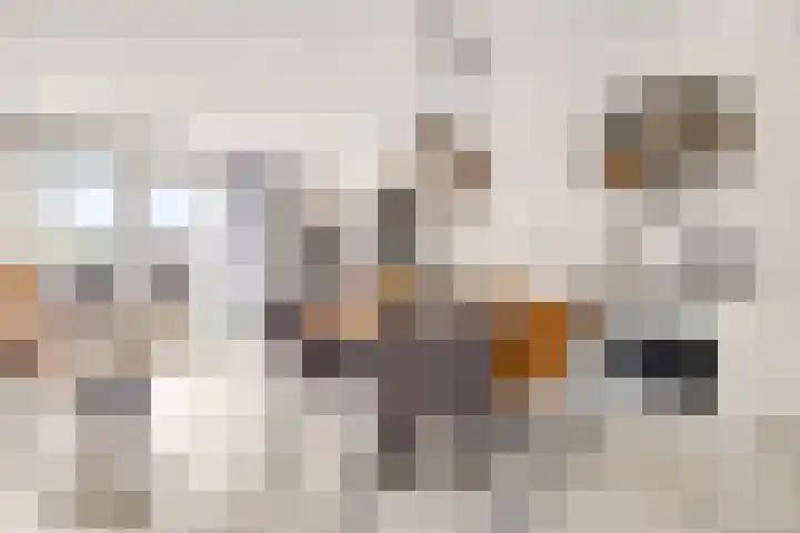 Pompwater 32 Houten thumbnail 16