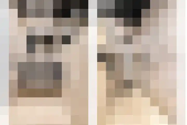 Pompwater 32 Houten thumbnail 30
