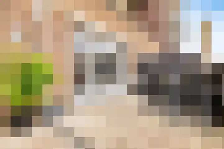 Pompwater 32 Houten thumbnail 39