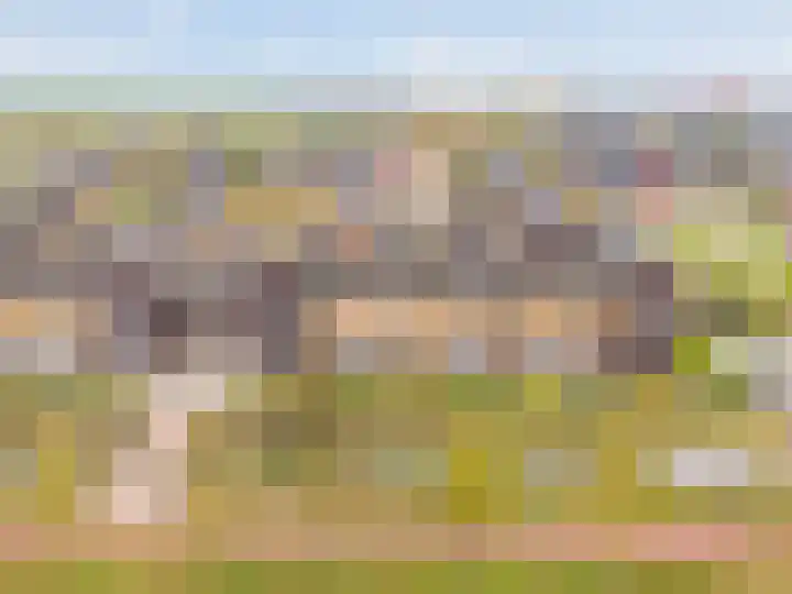 Pompwater 32 Houten thumbnail 4