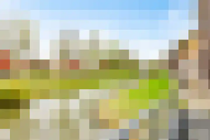 Pompwater 32 Houten thumbnail 46