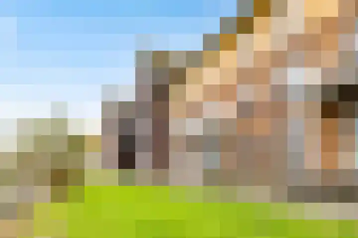 Pompwater 32 Houten thumbnail 5