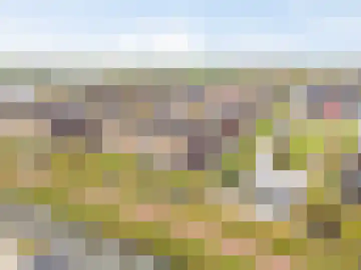 Pompwater 32 Houten thumbnail 57