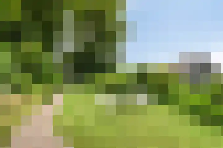Pompweg 12 Ubbergen thumbnail 28