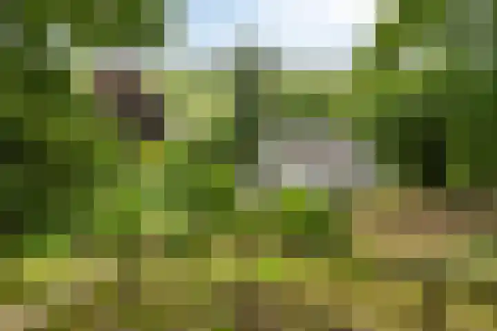 Pompweg 12 Ubbergen thumbnail 30