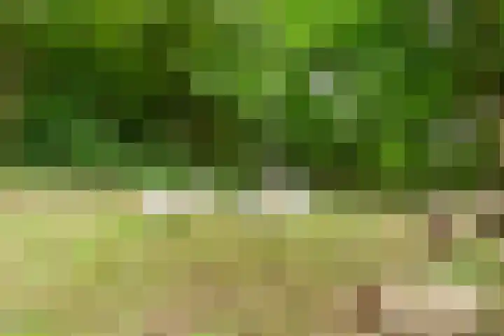 Pompweg 12 Ubbergen thumbnail 31