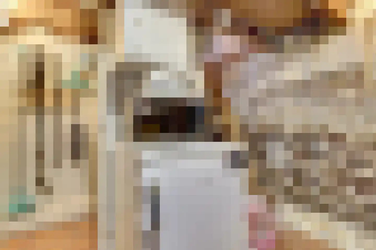 Pompweg 3 Ubbergen thumbnail 20