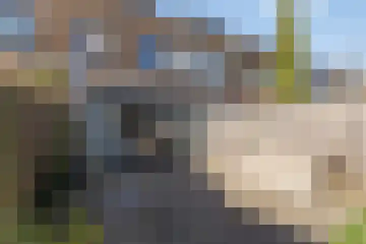 Ponddreef 78 Woerden thumbnail 26