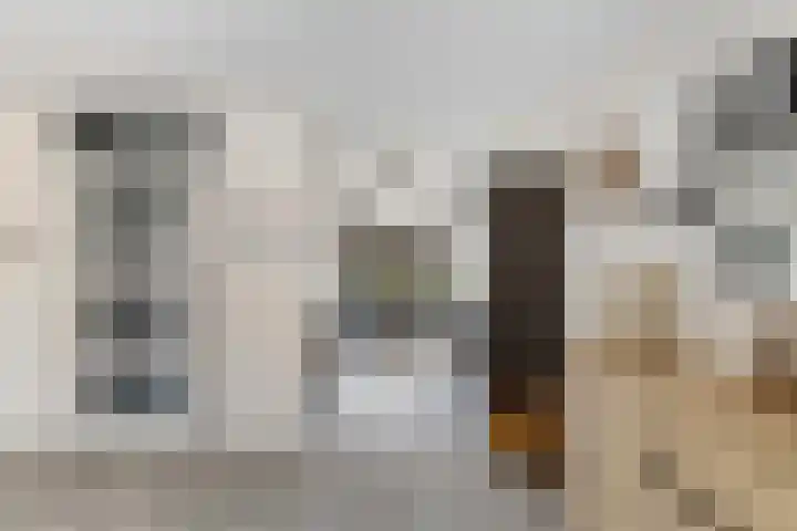Ponddreef 86 Woerden thumbnail 13