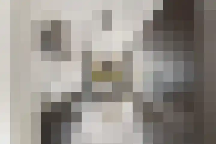 Ponddreef 86 Woerden thumbnail 14