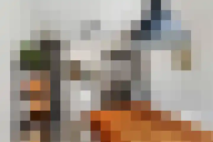 Ponddreef 86 Woerden thumbnail 19
