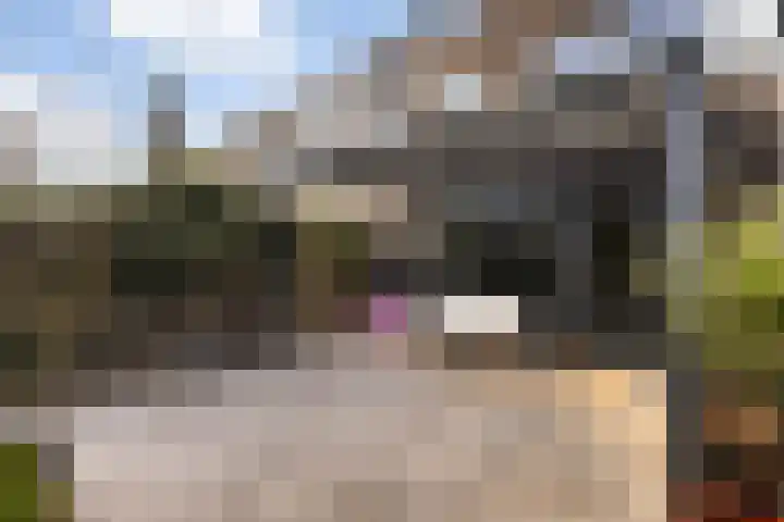 Ponddreef 86 Woerden thumbnail 27