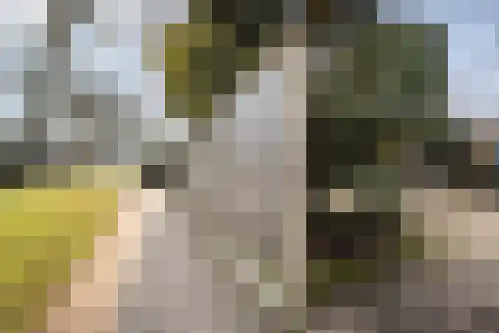 Ponddreef 86 Woerden thumbnail 34