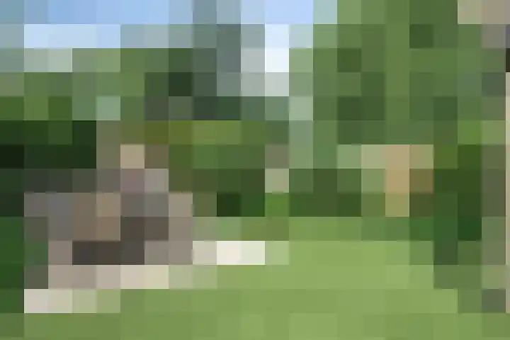 Ponddreef 86 Woerden thumbnail 51