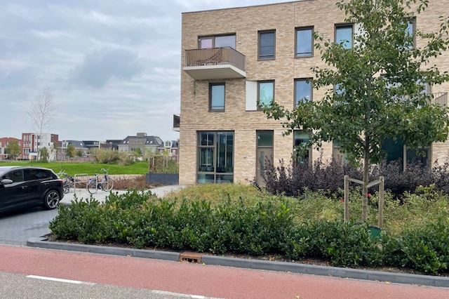 Ponte di Rialto 2 in Purmerend