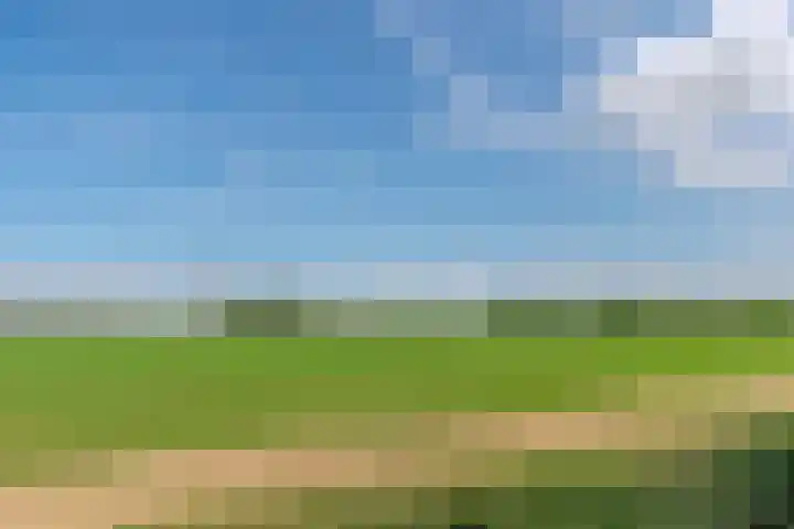 Pontiaanstraat 12 Rilland thumbnail 34