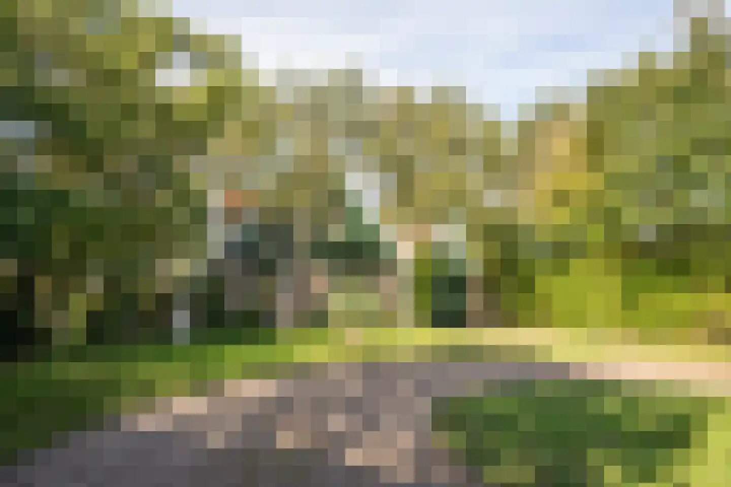 Pontweg 197 De Koog thumbnail 5