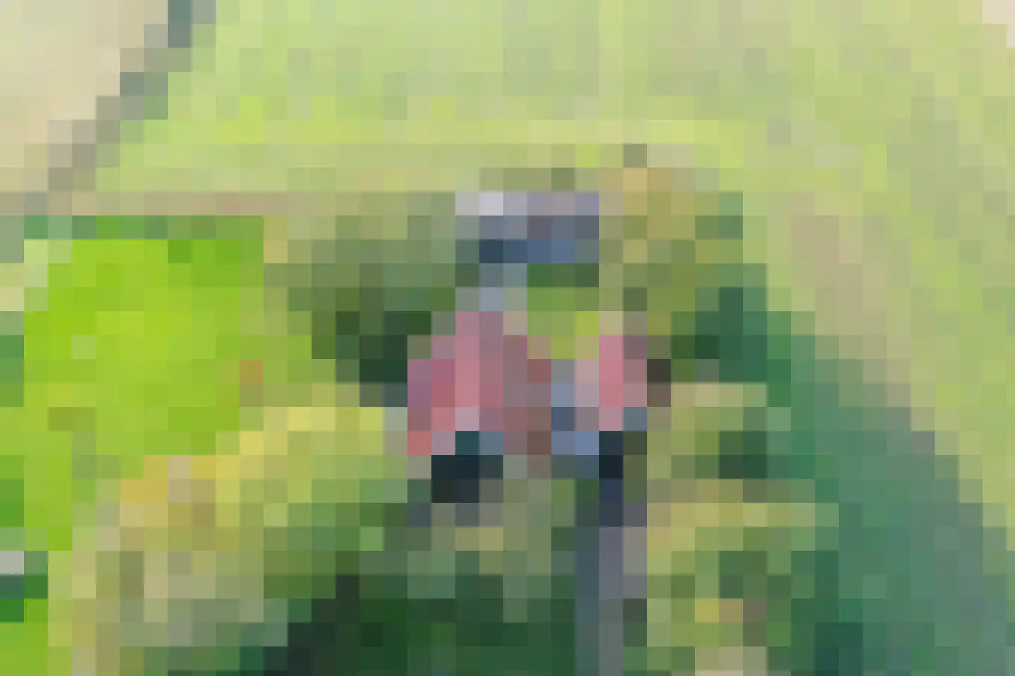 Pontweg 197 De Koog thumbnail 55